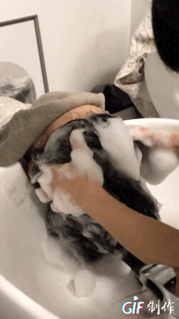 IMG_5177.GIF