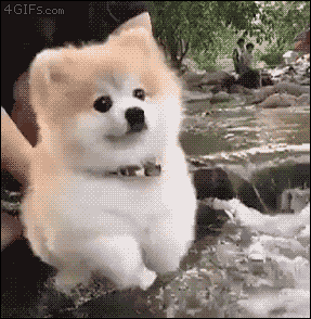 QQ图片20191128192605.gif