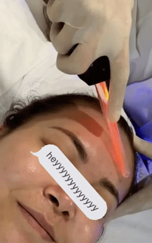 giphy (12).gif