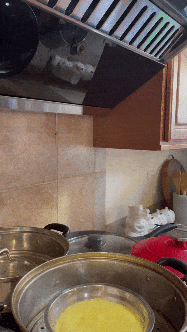 ezgif.com-gif-maker (33).gif