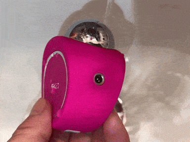 giphy-downsized.GIF