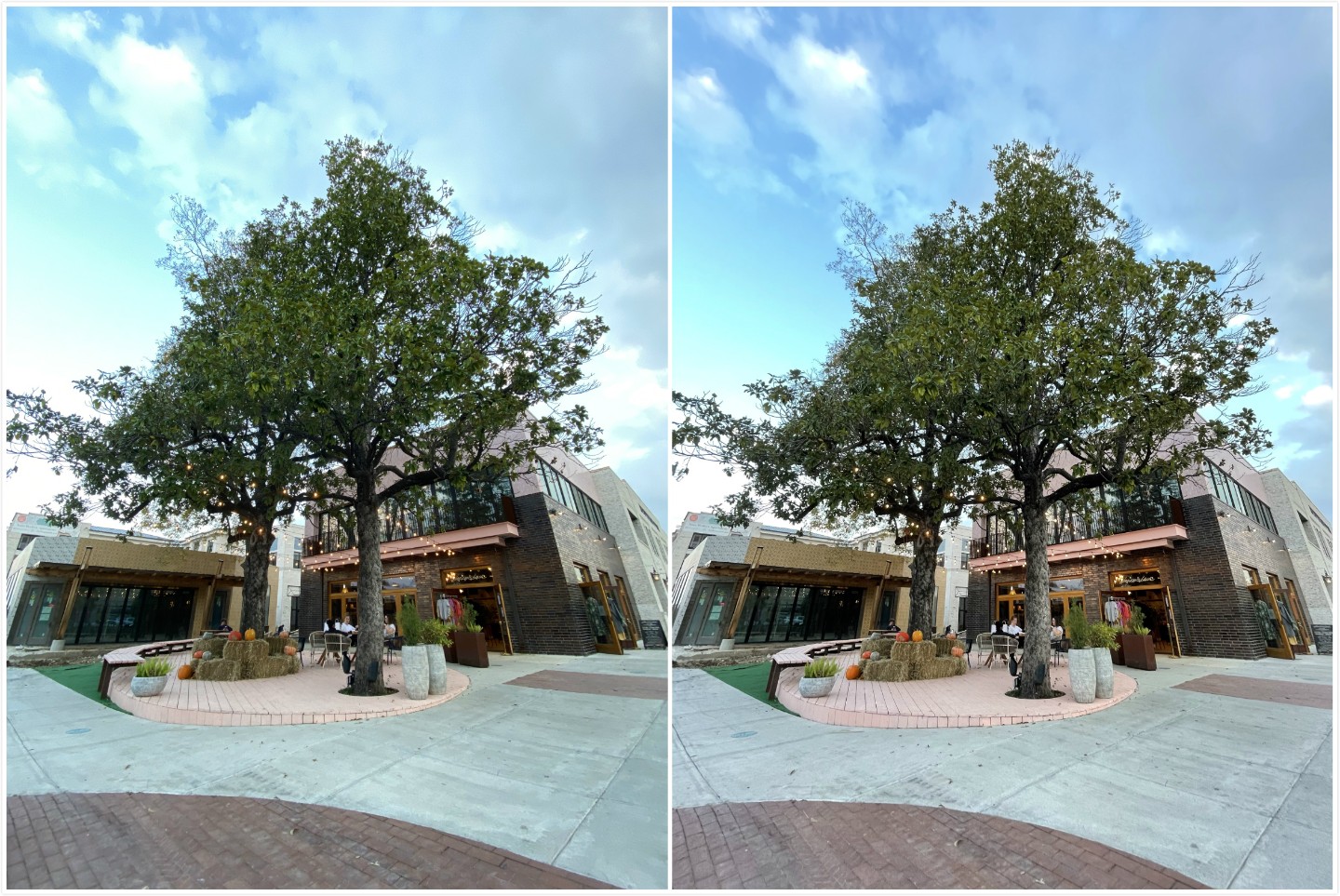 11p4_meitu_1.jpg