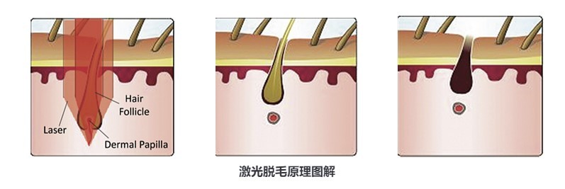 Dingtalk_20210410224953.jpg