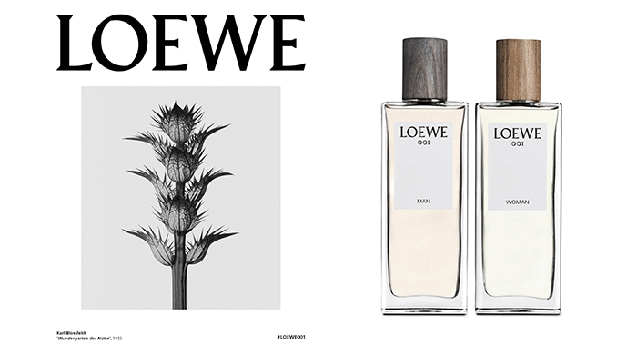 loewe 001 au