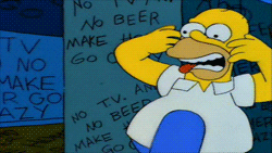 giphy 3.33.16 PM.gif