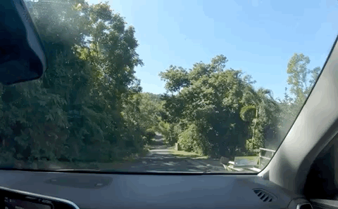 Dec-19-2019 00-05-37.gif