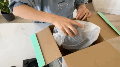 Image 5.GIF