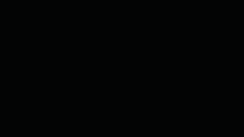 C0019.gif