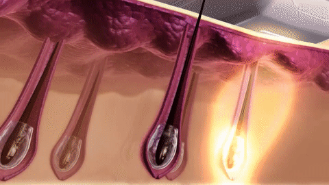 GIF3D_large.gif