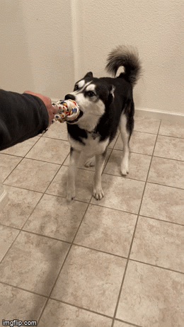 4r0tuc.gif