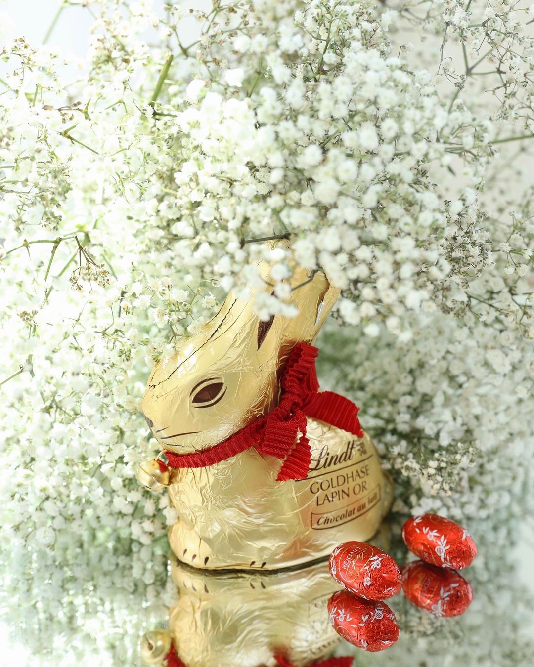 lindt_89825079_226489048474615_7607356460484180768_n.jpg
