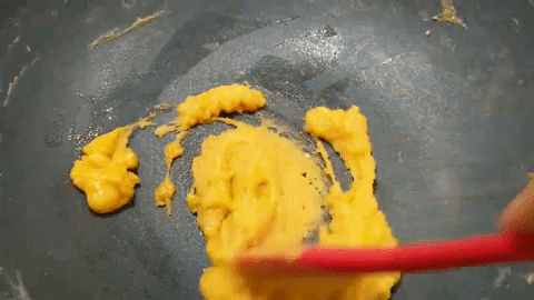 giphy (1).gif