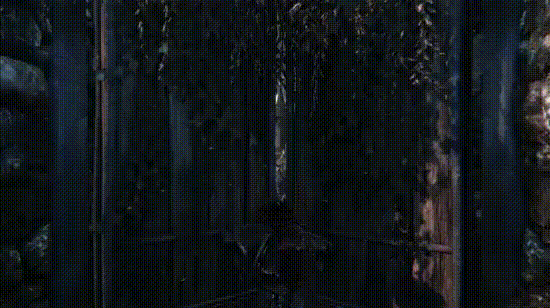 6236c2bcly1gd5wwdnbiag20fa08kb2b (1).gif