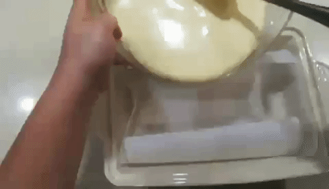 giphy (3).gif