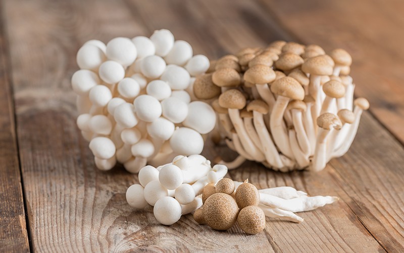 白玉菇英文Shimeji Mushroom