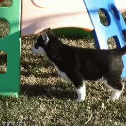 4r0ksl.gif