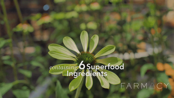 farmacy绿色紫锥花 蜂蜜