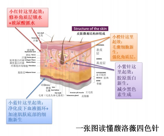 {BBE266CF-C2AB-4095-B24A-D22C4ABFB363}_20200218144032.jpg
