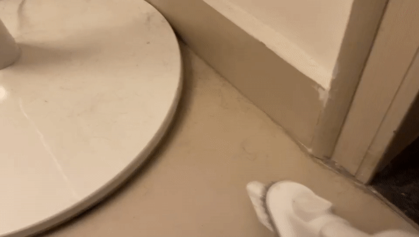 3.gif