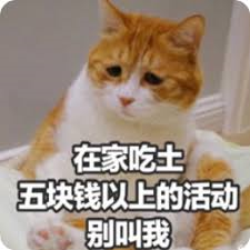 images (1).png