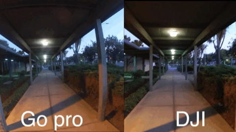 VideoToGif_GIF 7.GIF
