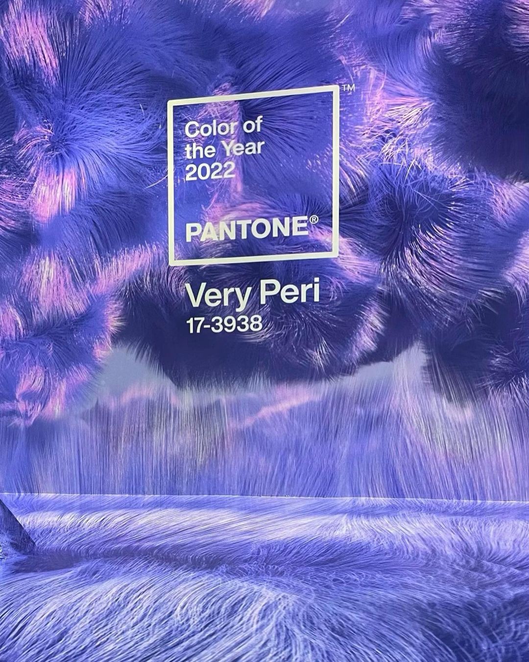pantone_265909186_984011832236832_1254291573825913669_n (1).jpg