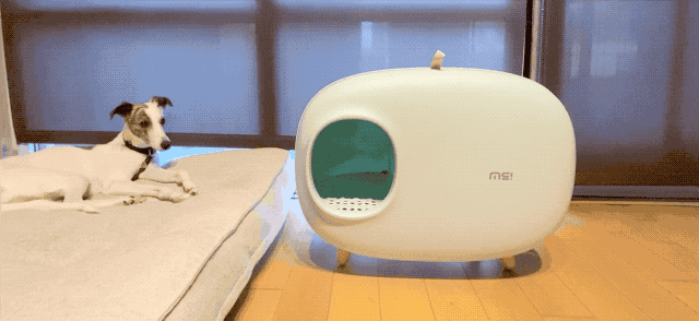 familiar.gif