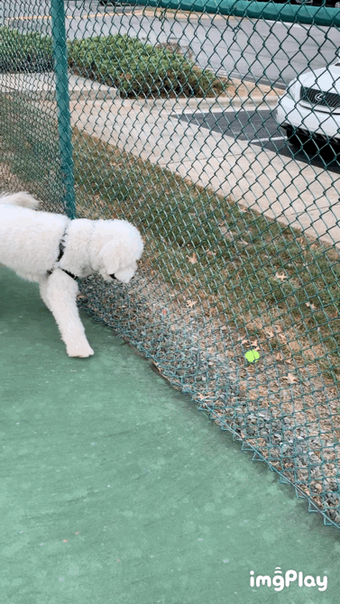 0E57574E-62FE-4A46-9304-CD4690A9981D.gif