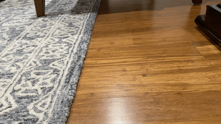 IMG_2152.gif