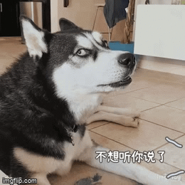 00000.gif