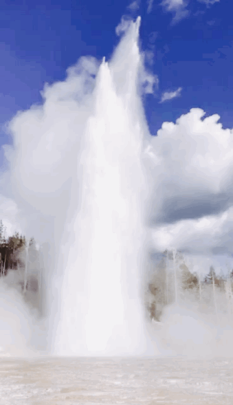 IMG_6384.GIF
