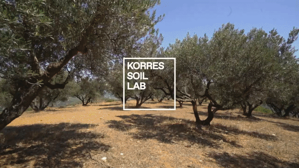 korres希腊背景.gif