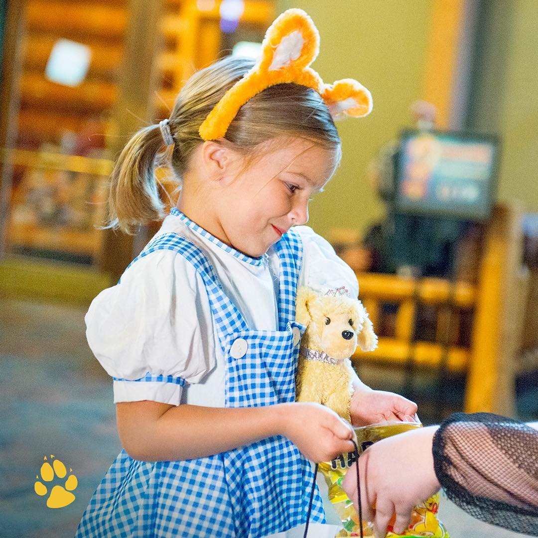 greatwolflodge_43817489_272854273571519_6070993035992713897_n.jpg