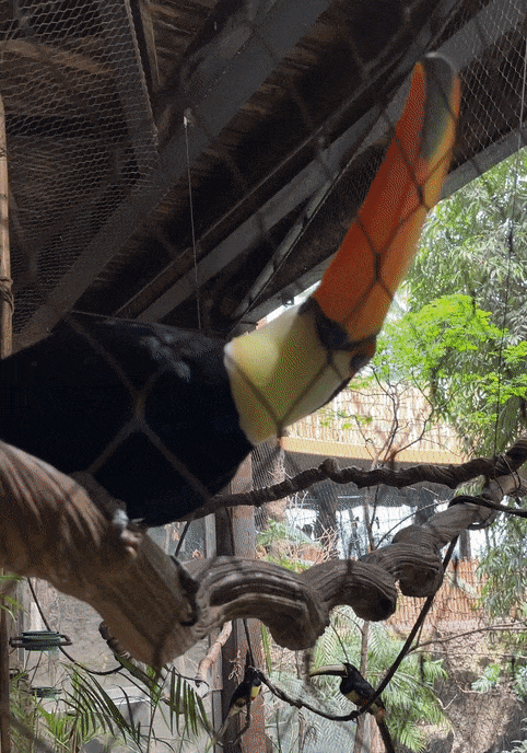gif10.gif