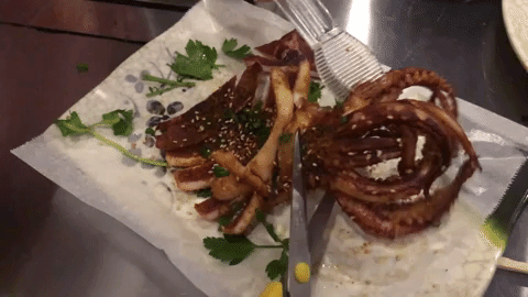 鱿鱼.gif