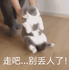 006r3PQBly1fnxxutkarrg306i06ke74.gif