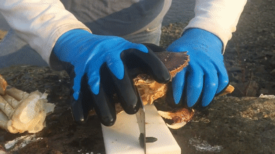 Crack'n Crab Cleaner 剥螃蟹神器