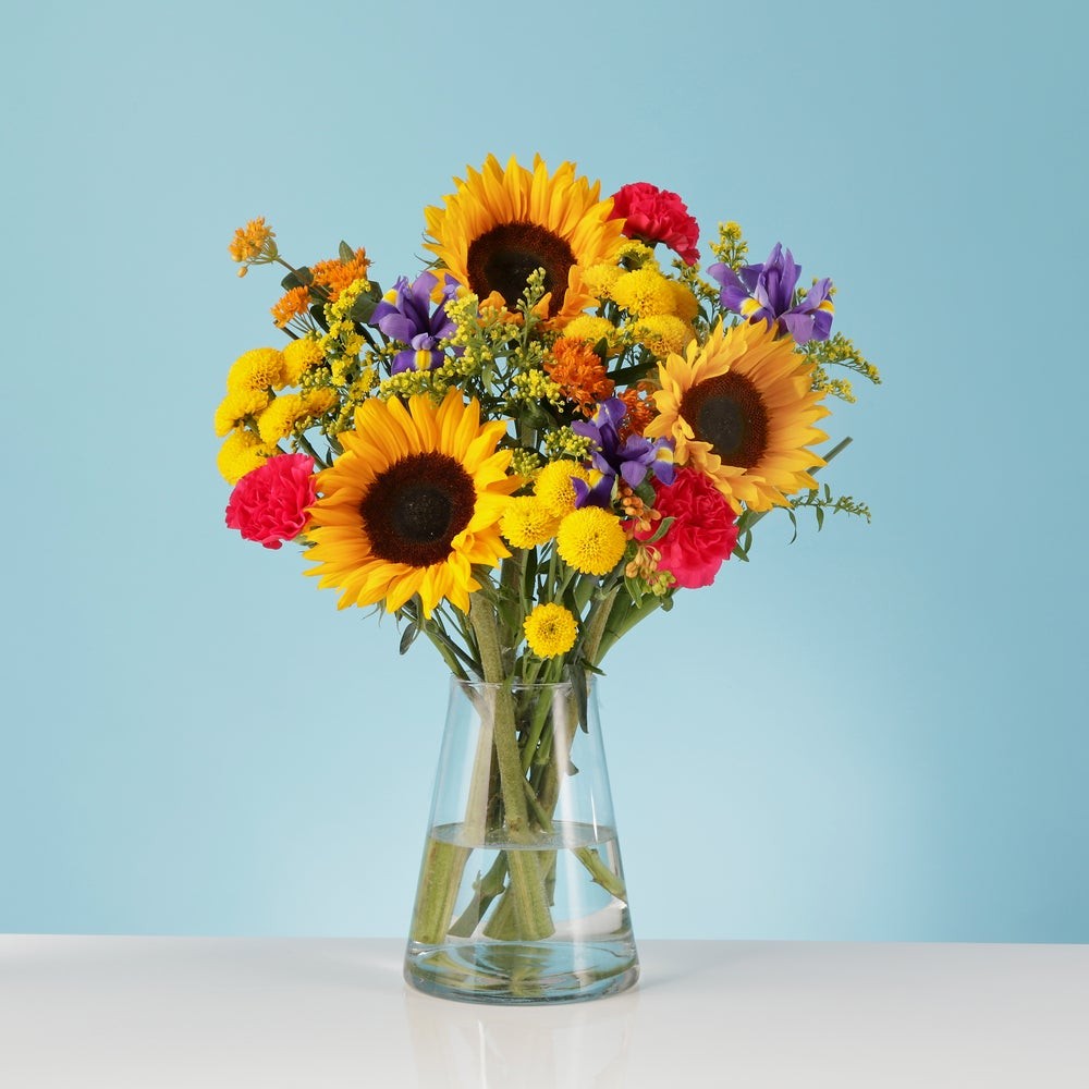 SummerDays-1_1000x1000_crop_center.jpg