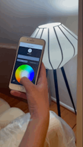 Image.gif