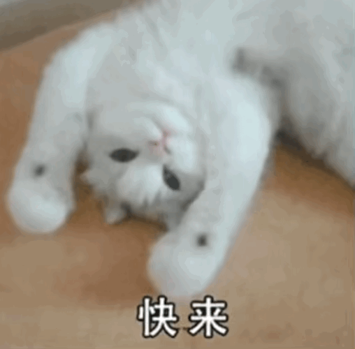 lAHPDgfLRJBzbMvNAfTNAfw_508_500.gif