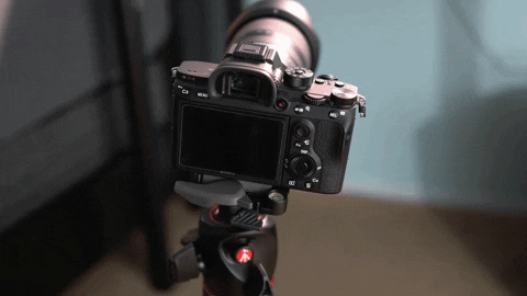 giphy (2).gif