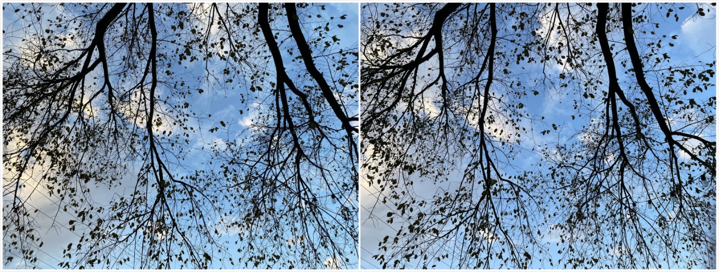 11p1_meitu_1.jpg
