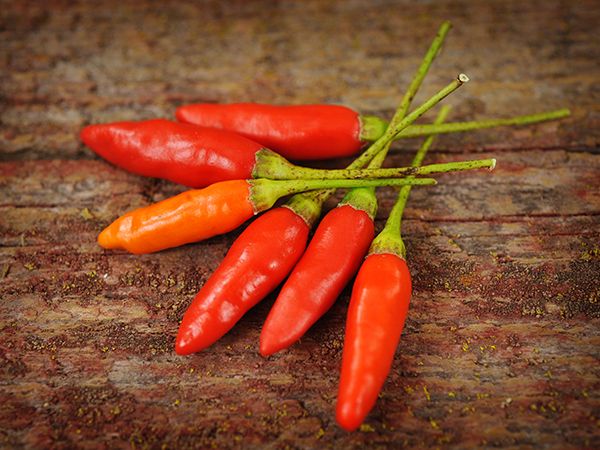 Pepper-Hot-Tabasco-HPP106-LSS-000_6893