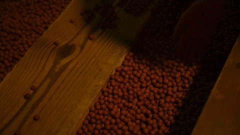 球球.gif