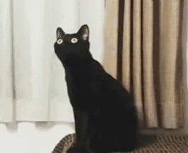 006HJgYYgy1fsskeab3p5g307c05zttr.gif