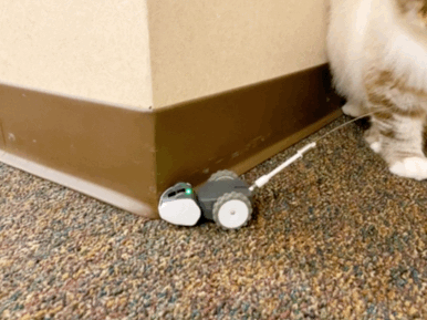 1571627043769.GIF