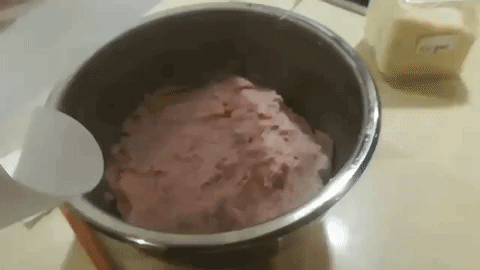 giphy2.gif