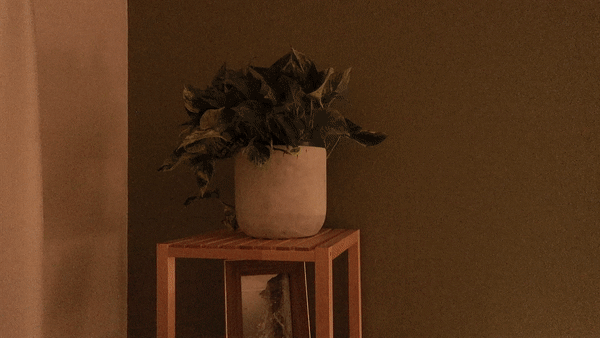 night_6.gif