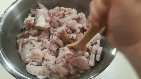 giphy1.gif