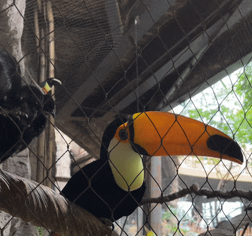 gif7.gif